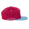 Grassroots / Disco Biscuits Hat | Maroon & Sky Blue