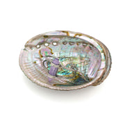 Iridescent Abalone Shell, Jewelry & Trinket Dish, Natural Home Decor