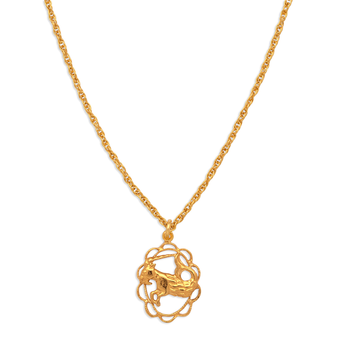 ZODIAC CHARM NECKLACE | CAPRICORN