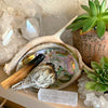 Bliss Kit: Sage, Palo Santo, Selenite Crystal & Abalone Shell