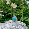 Turquoise Butterfly Ring ~ 4