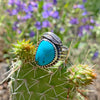 Turquoise Feather Ring Series 2
