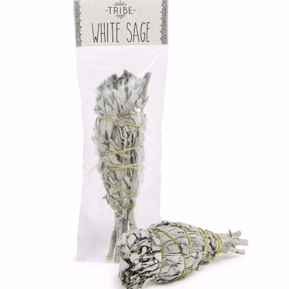 White Sage Smudge | TRIBE Jewelry | Gift & Home